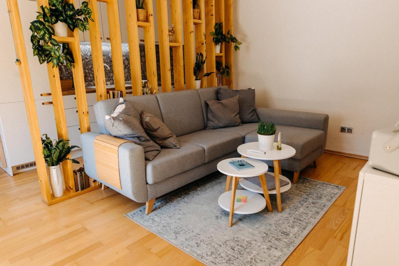 Apartman V Srdci Znojma „Jako Doma“ زنويمو المظهر الخارجي الصورة
