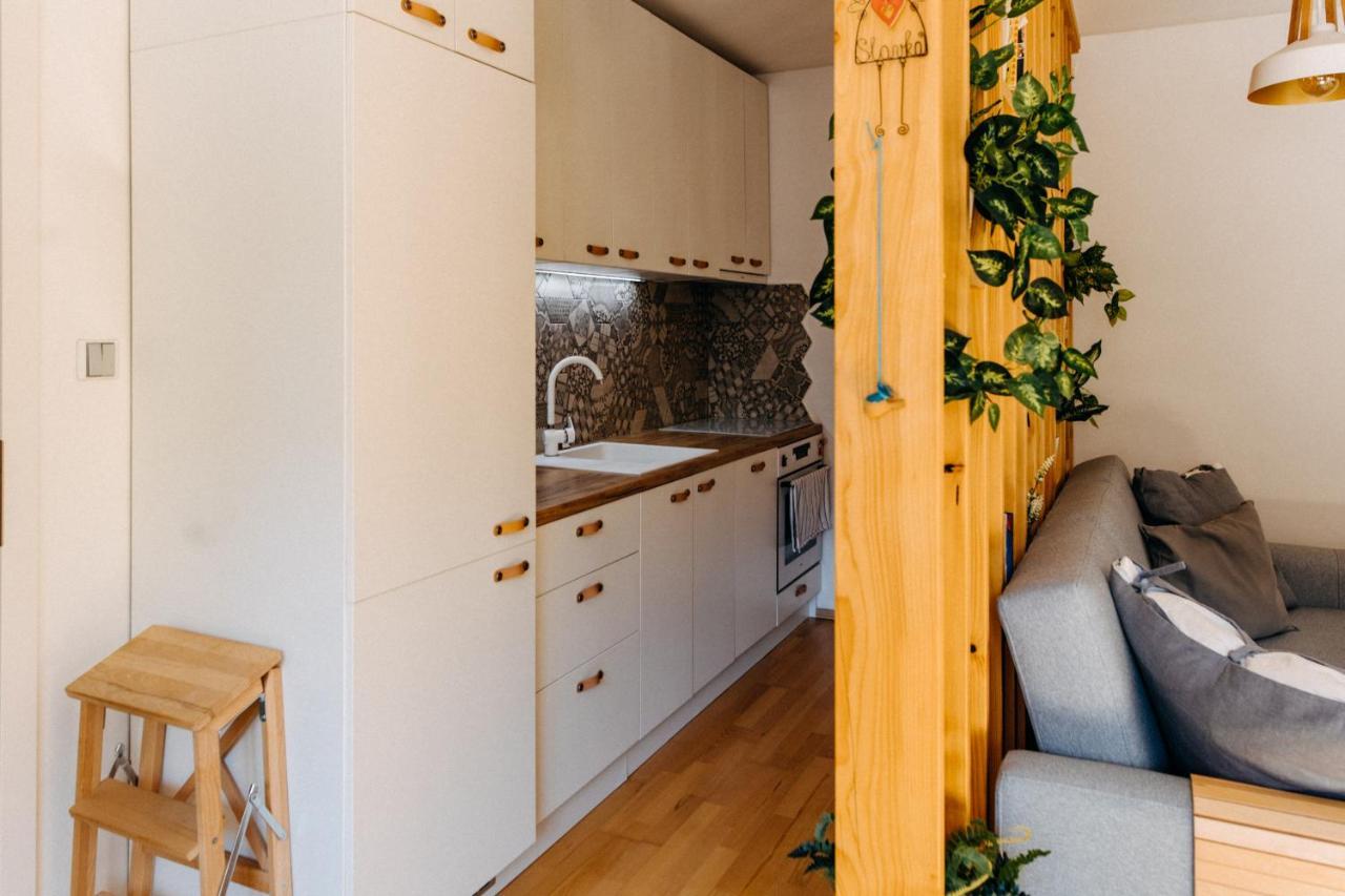 Apartman V Srdci Znojma „Jako Doma“ زنويمو المظهر الخارجي الصورة