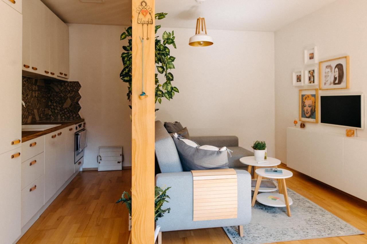 Apartman V Srdci Znojma „Jako Doma“ زنويمو المظهر الخارجي الصورة