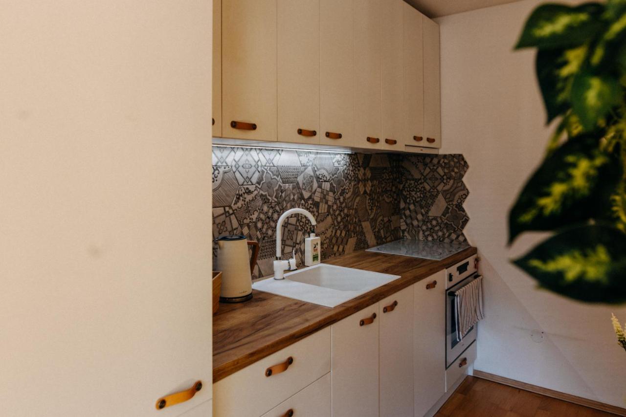 Apartman V Srdci Znojma „Jako Doma“ زنويمو المظهر الخارجي الصورة